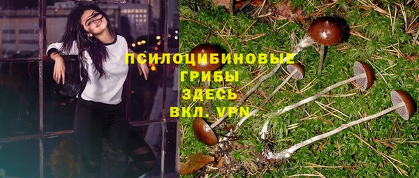 соль курить ск Арсеньев