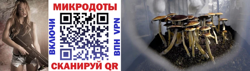 Галлюциногенные грибы ЛСД  где купить   Богданович 