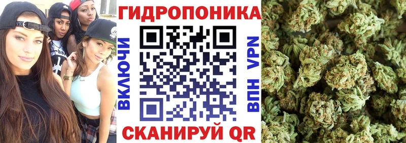 хочу Богданович blacksprut как войти Бошки Шишки Ganja